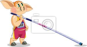 Piotr lisek nie pokonał poprzeczki zawieszonej na wysokości 5,87 i zakończył finał skoku o tyczce na szóstym miejscu. Obraz Mala Swinka O Tyczce Na Wymiar Rysunek Pole Sport Redro Pl