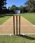 Cricket Ground Cricket Pitch