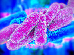 La légionellose est une forme rare de pneumonie.: Legionella Et Maladie Du Legionnaire Legionellose Walkerton Clean Water Centre