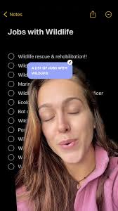 Veterinary Side Jobs