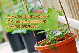 Berkebun dengan cara vertikal sangat cocok dengan kondisi rumah yang lahannya sangat terbatas. Panduan Berkebun Di Rumah Kebun Bandar