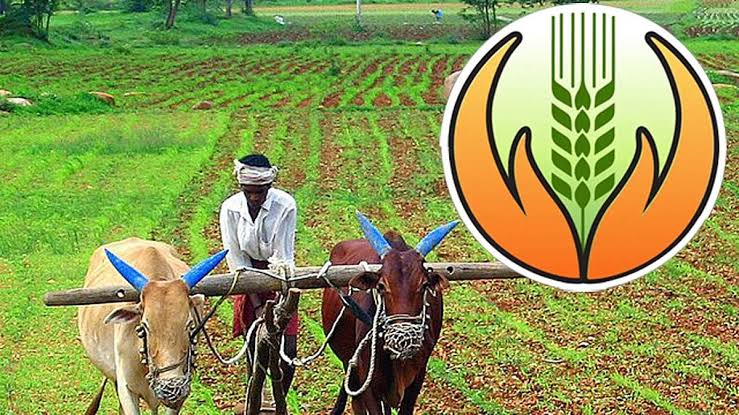 धोरणातील दोषामुळे पीक विमा भरणार्‍यांची संख्या घटली; किसान सभेचा आरोप, मुख्यमंत्र्यांच्या वक्तव्यावर तीव्र नाराजी