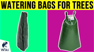Be mindful that an actually young seedling (within 2 in size)might be as well tiny to utilize this tree watering bag. 10 Best Watering Bags For Trees 2019 Youtube