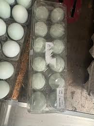 Still offering my farm fresh eggs medium eggs are $5 large are $6 and jumbo  eggs are $7 a dozen please message me for times and location