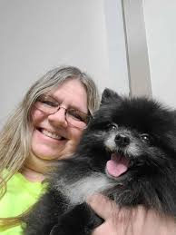 Alma copper teacup Pomeranian puppies