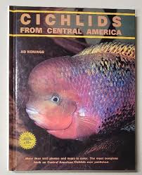 Cichlids from Central America by Konings, Ad