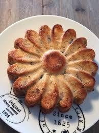 Quiche Sans Pate Aux Champignons Pates Aux Champignons Alimentation Rachel Cuisine