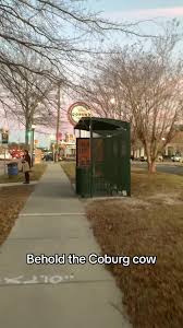 Welp, never underestimate a mighty cow like Bessy the Coburg cow!  #highway17 #coburgcow #charlestonsouthcarolina #historiclandmarks #fyp  #cowappreciation #tuesdaymood