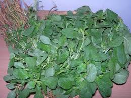It strengthens the immune system and. Arai Keerai Meaning In Hindi