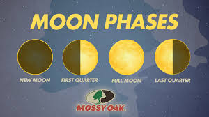 The Effect Moon Phase Has On Hunting Deer Mossy Oak