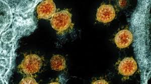 Das zeigt eine auswertung britischer daten. E7xh5jeuhbwwym