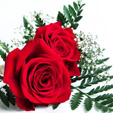 Had the best wedding at lcotf về chapel of the flowers. Graceland Wedding Chapel Home Facebook