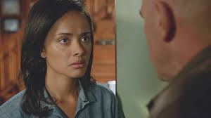 Under the Dome (TV Series 2013–2015)