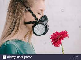 Blonde Girl With Pollen Allergy Wearing Respiratory Mask And Smelling Pink Gerbera Flower Stock Photo Alamy