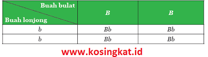 Kunci Jawaban Ipa Kelas 9 Halaman 157 159 Uji Kompetensi 3 Kosingkat