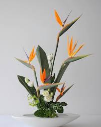 Simple Bird Of Paradise Flower Arrangement 114 Gostos 2 Comentarios Maivan Flowers No Instagram Ikebana Art Floral Flower Arrangements Simple Ikebana Flower Arrangement Large Flower Arrangements