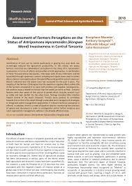 Image result for Astripomoea