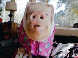 Good morning, beautiful. #estherforever #fashion #smile