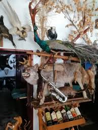 12 pensiunea se afla la 1 km de centrul orasului vatra dornei, are 3 camere frumos amenajate, fiecare avand baie proprie, living spatios, bucatarie utilata si mobilata modern, apa calda si caldura de la centrala proprie pe peleti. Turismul Romanesc La Munte Cum Ne SufocÄ Prostia Èi UraÈenia La Fiecare Pas