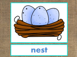 Summary of points to be noted • the list does not include every word that may appear on a cambridge english: Letter N Alphabet Powerpoint Fun Colorful Words W Pictures Expandable Teaching Resources
