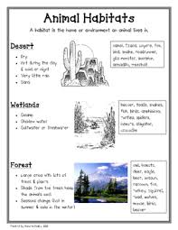 animal habitats by teachers pay teachers