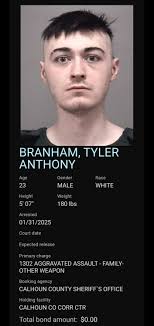 TYLER ANTHONY BRANHAM Charges 1302 AGGRAVATED ASSAULT
