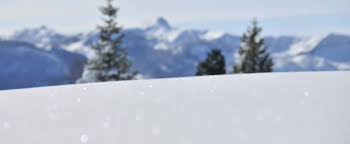 Snowfall Tracker - Tahoe Donner Association