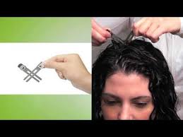 Allison Schachter (ams595)