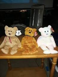 Cheapest Price On Sale Ty Beanie Baby Groovy Fuzz And Curly Bears With Tag Errors Rare Tush Tag Potential Eddys Rock Club De