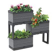 Pin On Plante Jardin