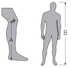 Goalie Leg Pads Sizing Charts Sportline Hockey