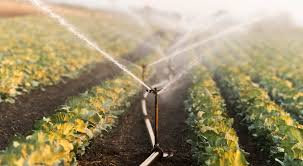 Karely desnuda Karely Ruiz y Kim Shantal JohnNext.