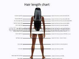 Hair Length Chart Hair Length Chart Hair Lengths Hip Length Hair