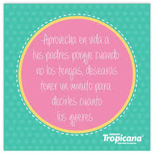 Aprovecha En Vida A Tus Padres Porque Cuando No Los Tengas Desearas Tener Un Minuto Para Decirles Cuanto Los Pensamientos Y Reflexiones Frases Frases Celebres