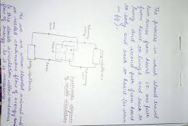 Describe Double Circulation In Human Being Why It Is