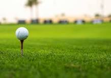 Provincial Senior Championship
