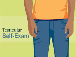 Visit our website to learn how to perform a. How To Do A Testicular Self Exam Slideshow For Teens Nemours Kidshealth