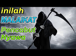 Check spelling or type a new query. Tengkorak Pencabut Nyawa
