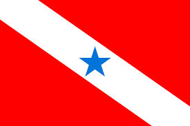 Bandeira Do Para Wikipedia A Enciclopedia Livre
