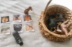 Activites Enfants Autour Des Figurines D Animaux Schleich Blog Papa Ratatam Vends divers animaux (ferme, savane, forêt) schleich 3 euros pièce. autour des figurines d animaux schleich