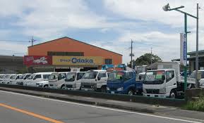 車の新しい乗り方！コアラクラブのユーカリプラン