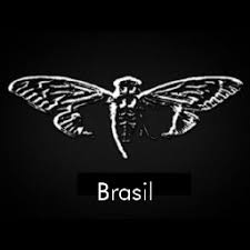 Cicada 3301 has been described as the most baffling and enigmatic mystery on the internet and was listed as one of the top 5 eeriest, unsolved mysteries of the internet by washington post. Cicada 3301 3301actual Twitter