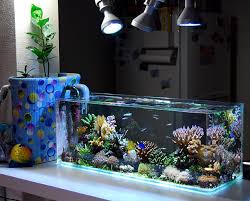 Large aquarium decorations are definitely a must to have if you keep a large tank where your most precious pet fish swim, play and move around. 100 Ideas Integrate Aquarium Designs In The Wall Or In The Living Room Interior Design Ideas Ofdesign