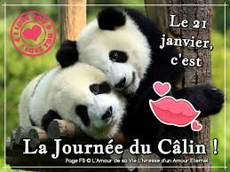 Résultat de recherche d'images pour "gif journée calins"