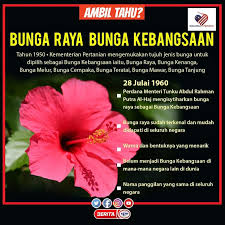 Di malaysia, terdapat banyak sangat jenis rumah dan hartanah, sehingga menyebabkan kekeliruan bagi pembeli rumah. Ascot Academy Ascot Skills College Photos Facebook