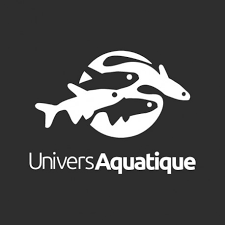 Maybe you would like to learn more about one of these? Neocaridina Heteropoda Blue Diamond 1 Cm Univers Aquatique