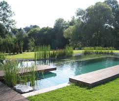 Freeform Planted Pool Tuin Zwembad Zwemvijvers Tuin Architectuur