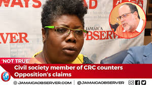 Constitutional Reform Committee (CRC) civil society representative Dr  Nadeen Spence