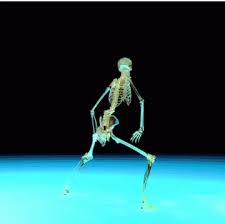 This animated gif is 16 frames. Skeleton Dance Gif Skeletondance Skeleton Discover Share Gifs Skeleton Dance Dancing Gif Gif