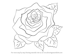 Learn How To Draw A Rose Rose Step By Step Drawing Tutorials Jackson pollock, mark rothko, alice neel, etc.